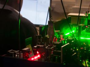 Quantum researchers find hallmarks of entanglement in bacteria experiment